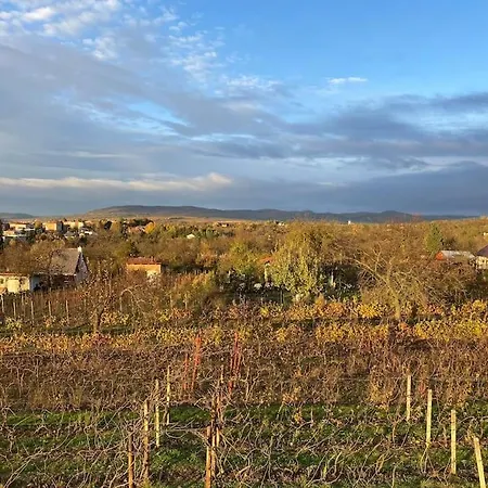 Kyjoff - Domecek S Krasnymi Vyhledy Kyjov (Hodonin District)
